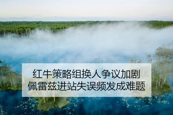 hong-niu-ce-lve-zu-huan-ren-zheng-yi-jia-ju-pei-lei-zi-jin-zhan-shi-wu-pin-fa-cheng-nan-ti-2-165.jpg